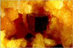 Click Here for Larger Pyrochroite Image