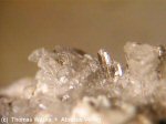 Click Here for Larger Rosslerite Image