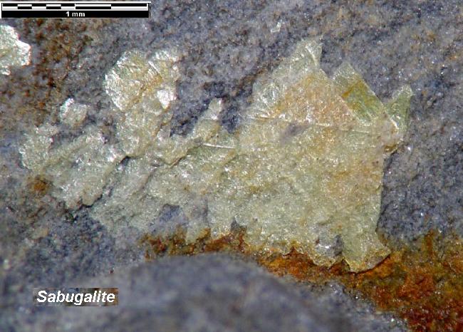 Large Sabugalite Image