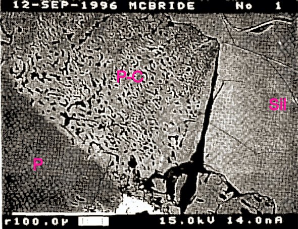 Large Silvialite Image