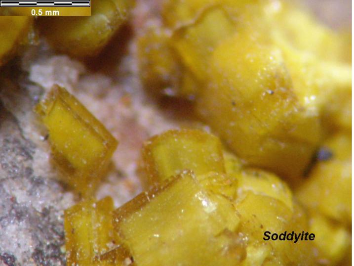 Large Soddyite Image