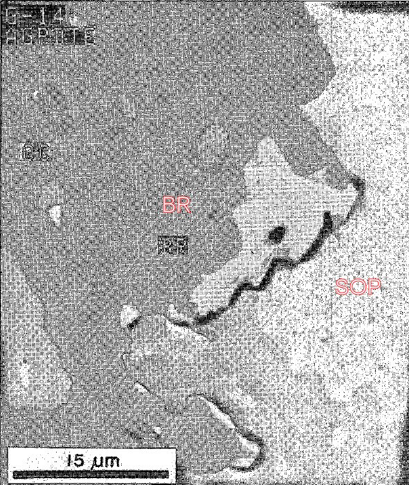 Large Sopcheite Image