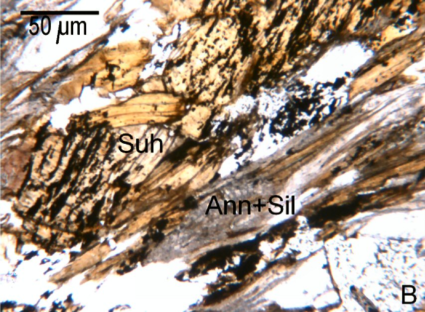 Large Suhailite Image