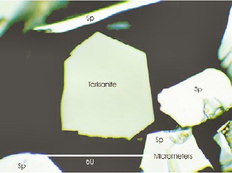 Large Tarkianite Image