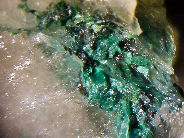 Large Teineite Image