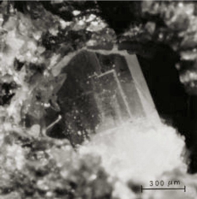 Large Terranovaite Image