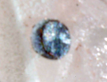 Large Thorutite Image