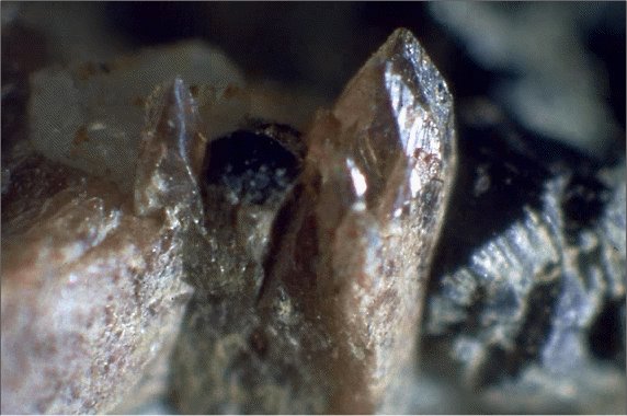 Large Tilasite Image