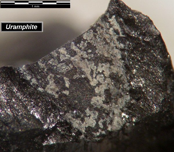 Large Uramphite Image