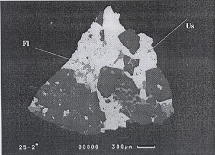 Large Usovite Image