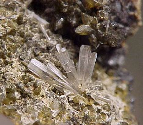 Large Valentinite Image