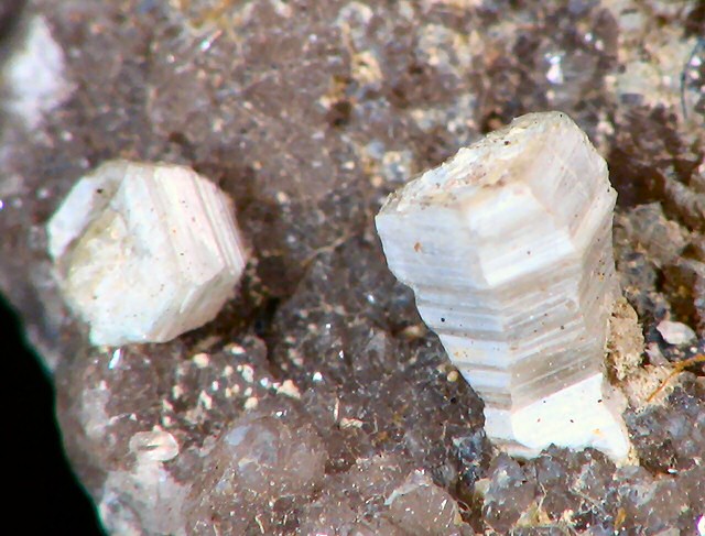 Large Weloganite Image