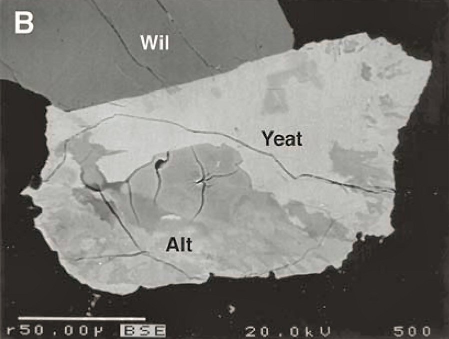 Large Yeatmanite Image