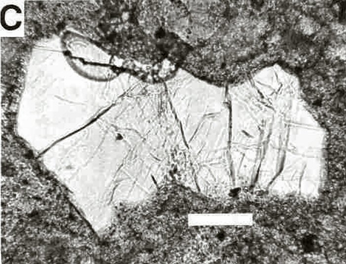 Large Yoshiokaite Image