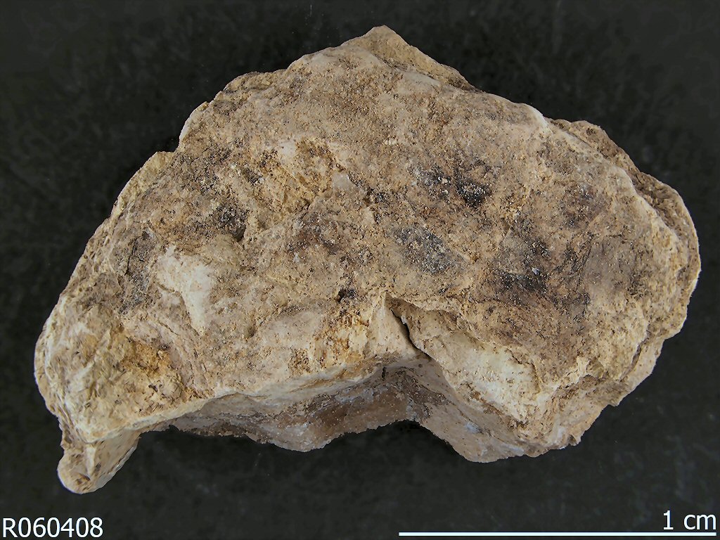 Large Ammoniojarosite Image