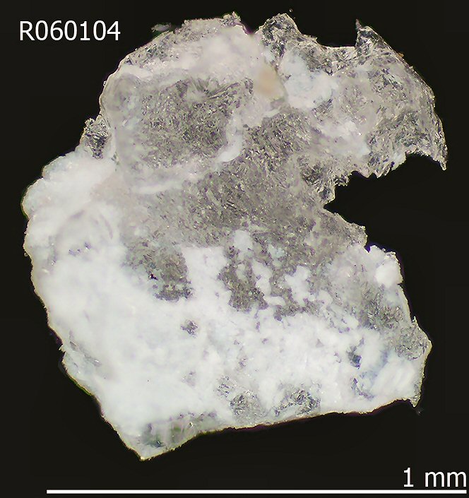 Large Ammonioleucite Image