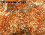 Click Here for Larger Arseniopleite Image