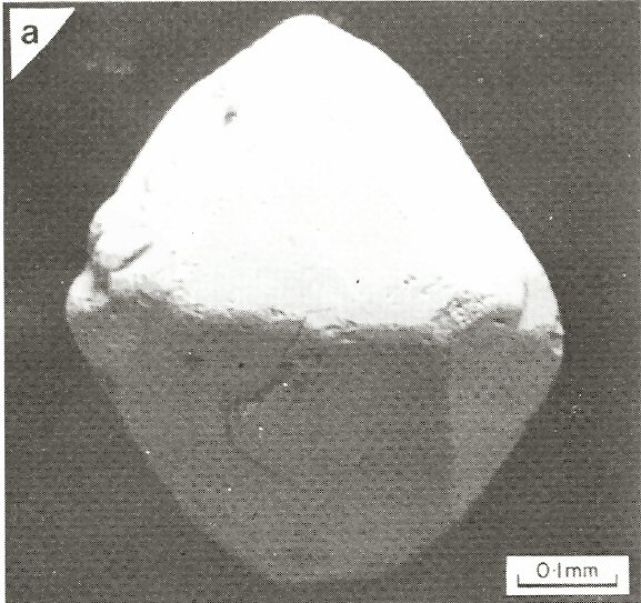 Large Arsenoflorencite-(Ce) Image