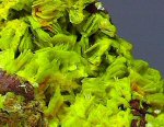 Click Here for Larger Autunite Image