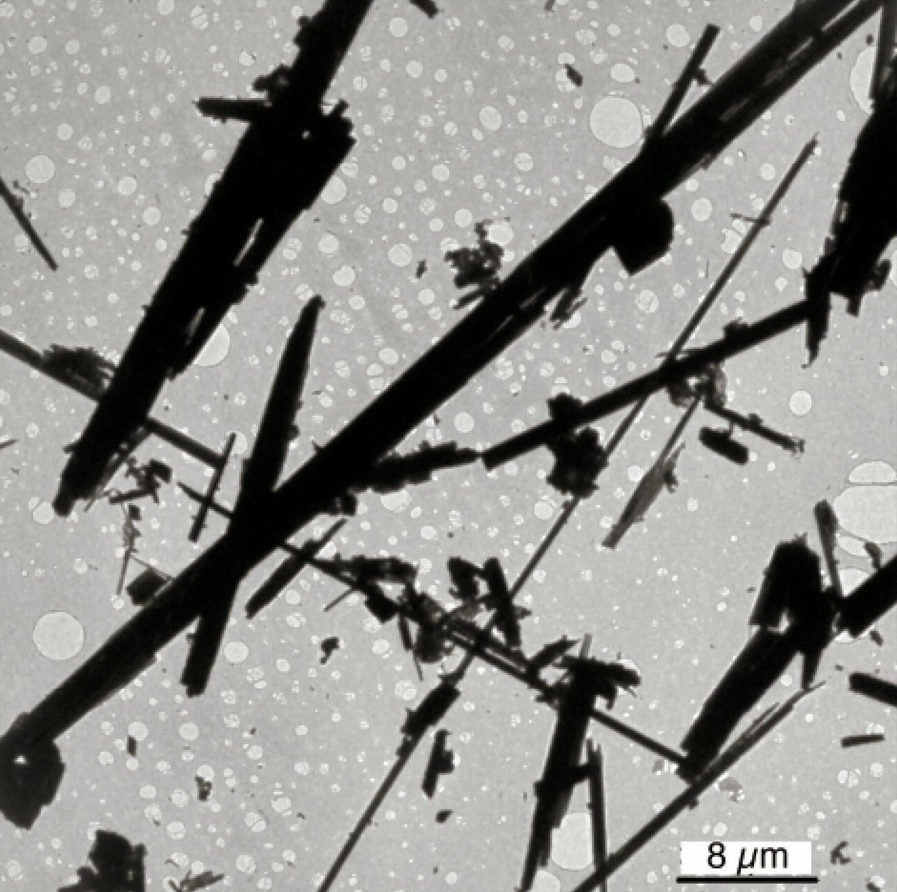 Large Ferro-anthophyllite Image