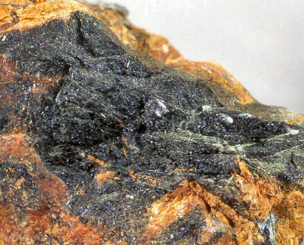 Large Ferro-eckermannite Image