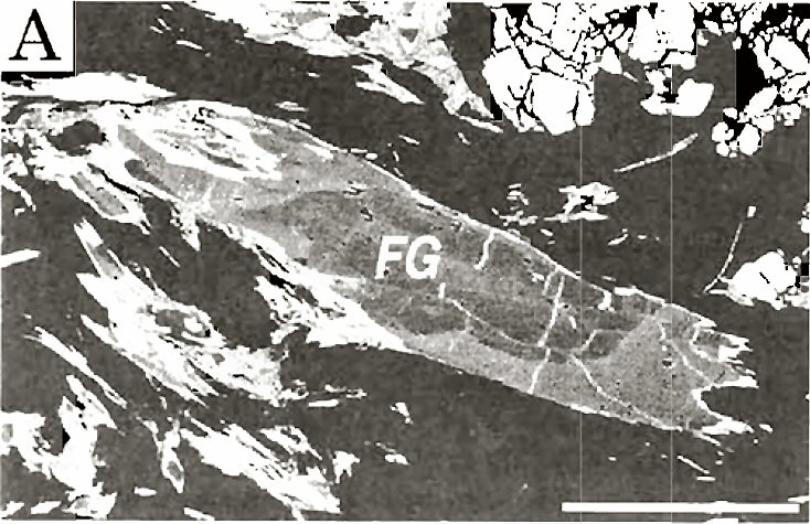 Large Ferroglaucophane Image
