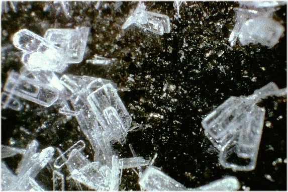 Large Fiedlerite Image