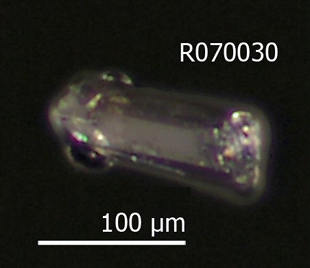 Large Filatovite Image