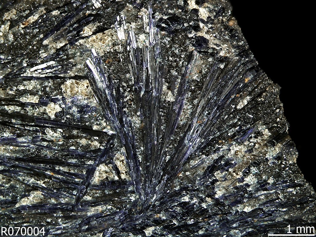 Large Holmquistite Image