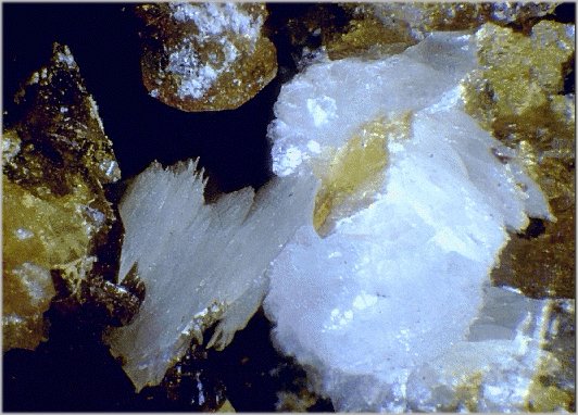 Large Leucophosphite Image