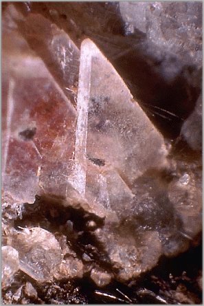Large Mooreite Image