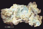 Click Here for Larger Magnesioaubertite Image