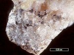Click Here for Larger Polylithionite Image