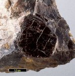 Click Here for Larger Hendricksite Image