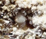 Click Here for Larger Pharmacolite Image
