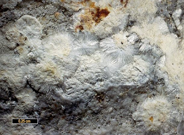 Large Macdonaldite Image