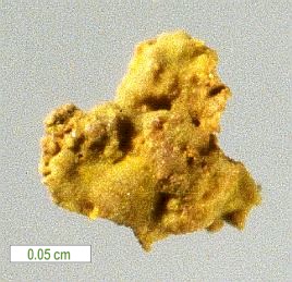 Large Philipsbornite Image