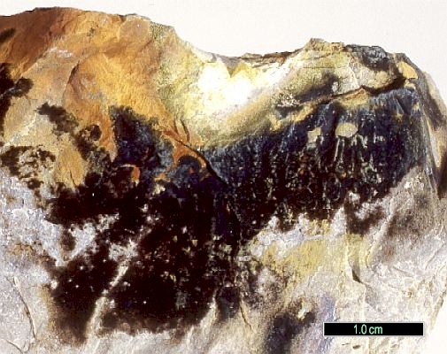 Large Kazakhstanite Image