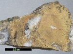 Click Here for Larger Cuprotungstite Image