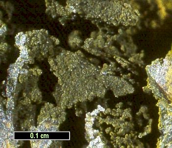 Large Cassedanneite Image