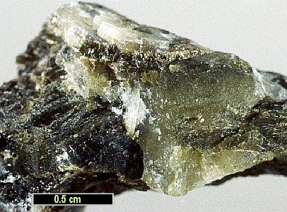 Large Clinoferrosilite Image