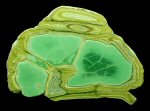 Click Here for Larger Variscite Image