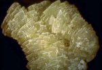 Click Here for Larger Weloganite Image